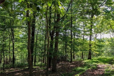 5 acre buildable lot on Disharoon Mountain with spectacular on Big Canoe Golf Club - Cherokee in Georgia - for sale on GolfHomes.com, golf home, golf lot