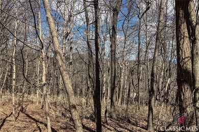 5 acre buildable lot on Disharoon Mountain with spectacular on Big Canoe Golf Club - Cherokee in Georgia - for sale on GolfHomes.com, golf home, golf lot