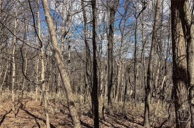5 acre buildable lot on Disharoon Mountain with spectacular on Big Canoe Golf Club - Cherokee in Georgia - for sale on GolfHomes.com, golf home, golf lot