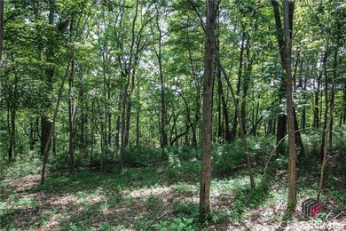 5 acre buildable lot on Disharoon Mountain with spectacular on Big Canoe Golf Club - Cherokee in Georgia - for sale on GolfHomes.com, golf home, golf lot