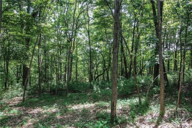 5 acre buildable lot on Disharoon Mountain with spectacular on Big Canoe Golf Club - Cherokee in Georgia - for sale on GolfHomes.com, golf home, golf lot
