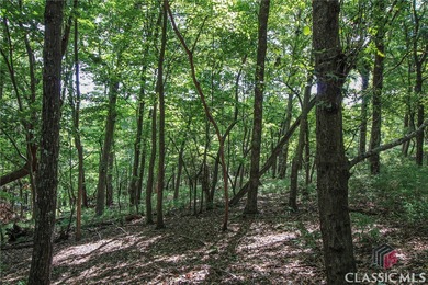 5 acre buildable lot on Disharoon Mountain with spectacular on Big Canoe Golf Club - Cherokee in Georgia - for sale on GolfHomes.com, golf home, golf lot
