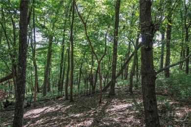 5 acre buildable lot on Disharoon Mountain with spectacular on Big Canoe Golf Club - Cherokee in Georgia - for sale on GolfHomes.com, golf home, golf lot