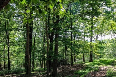 5 acre buildable lot on Disharoon Mountain with spectacular on Big Canoe Golf Club - Cherokee in Georgia - for sale on GolfHomes.com, golf home, golf lot