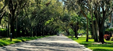 Welcome to your private oasis in one of Southwest Florida's most on Estero Country Club in Florida - for sale on GolfHomes.com, golf home, golf lot
