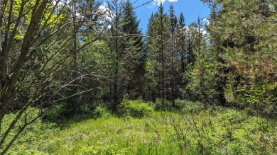 Nestled amidst the rugged beauty of Glacier Country lies a rare on Glacier View Golf Course in Montana - for sale on GolfHomes.com, golf home, golf lot