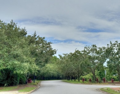 Located in Driftwood Estates, a well sought after neighborhood on Sandestin Golf and Beach Resort - Raven in Florida - for sale on GolfHomes.com, golf home, golf lot