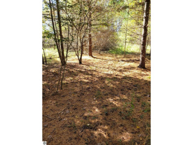 This vacant lot is located within the Sugar Springs Property on Lakeside Golf Course in Michigan - for sale on GolfHomes.com, golf home, golf lot