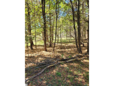 This vacant lot is located within the Sugar Springs Property on Lakeside Golf Course in Michigan - for sale on GolfHomes.com, golf home, golf lot