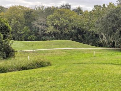 Ekana Green Pool Home for Sale in Oviedo Florida!!  Location on Twin Rivers Golf Club in Florida - for sale on GolfHomes.com, golf home, golf lot