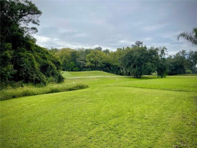 Ekana Green Pool Home for Sale in Oviedo Florida!!  Location on Twin Rivers Golf Club in Florida - for sale on GolfHomes.com, golf home, golf lot