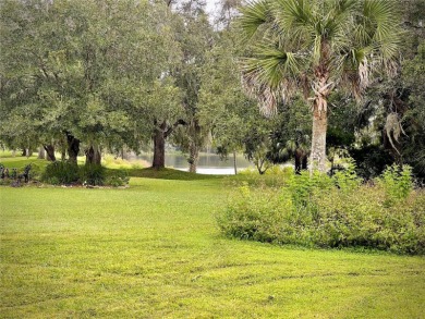 Ekana Green Pool Home for Sale in Oviedo Florida!!  Location on Twin Rivers Golf Club in Florida - for sale on GolfHomes.com, golf home, golf lot