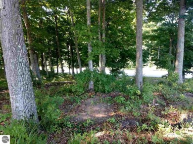 Large Lot - over 2 acres.  Beautifully wooded - slightly rolling on Champion Hill Golf Club in Michigan - for sale on GolfHomes.com, golf home, golf lot