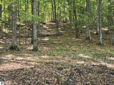 Large Lot - over 2 acres.  Beautifully wooded - slightly rolling on Champion Hill Golf Club in Michigan - for sale on GolfHomes.com, golf home, golf lot