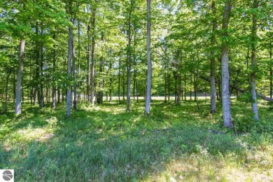 Large 1.6 Acre Lot.  Beautifully wooded - slightly rolling with on Champion Hill Golf Club in Michigan - for sale on GolfHomes.com, golf home, golf lot