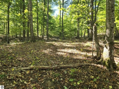 Large 1.6 Acre Lot.  Beautifully wooded - slightly rolling with on Champion Hill Golf Club in Michigan - for sale on GolfHomes.com, golf home, golf lot