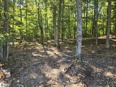 Large 1.6 Acre Lot.  Beautifully wooded - slightly rolling with on Champion Hill Golf Club in Michigan - for sale on GolfHomes.com, golf home, golf lot