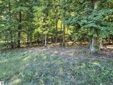 Large 1.6 Acre Lot.  Beautifully wooded - slightly rolling with on Champion Hill Golf Club in Michigan - for sale on GolfHomes.com, golf home, golf lot