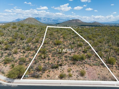 Discover the epitome of luxury living at Wildcat Pass, the crown on Starr Pass Golf Club in Arizona - for sale on GolfHomes.com, golf home, golf lot