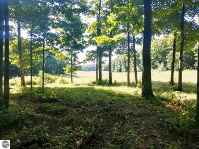 Large Lot  -  Beautifully wooded - slightly rolling with several on Champion Hill Golf Club in Michigan - for sale on GolfHomes.com, golf home, golf lot