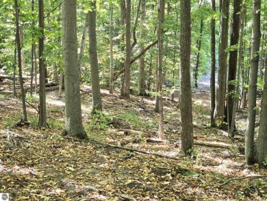 Large Lot  -  Beautifully wooded - slightly rolling with several on Champion Hill Golf Club in Michigan - for sale on GolfHomes.com, golf home, golf lot