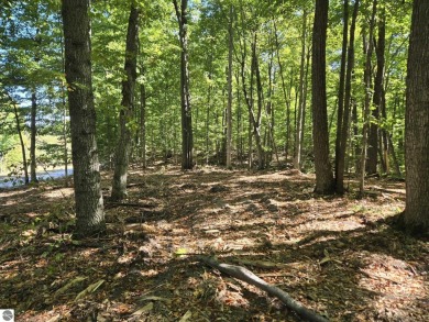 Large Lot  -  Beautifully wooded - slightly rolling with several on Champion Hill Golf Club in Michigan - for sale on GolfHomes.com, golf home, golf lot