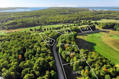 Large 1.2 Acre Lot.  Beautifully wooded - sweeping views of golf on Champion Hill Golf Club in Michigan - for sale on GolfHomes.com, golf home, golf lot