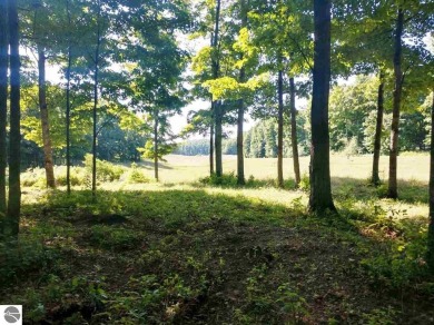 Large 1.2 Acre Lot.  Beautifully wooded - sweeping views of golf on Champion Hill Golf Club in Michigan - for sale on GolfHomes.com, golf home, golf lot