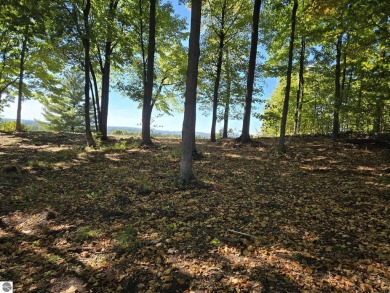 Large 1.2 Acre Lot.  Beautifully wooded - sweeping views of golf on Champion Hill Golf Club in Michigan - for sale on GolfHomes.com, golf home, golf lot