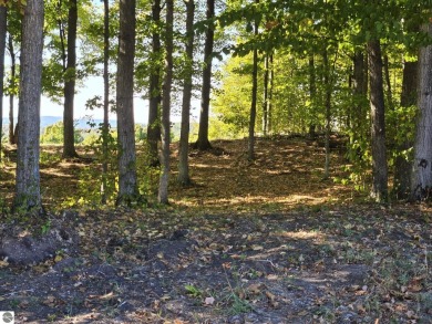 Large 1.2 Acre Lot.  Beautifully wooded - sweeping views of golf on Champion Hill Golf Club in Michigan - for sale on GolfHomes.com, golf home, golf lot