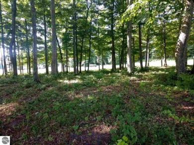 Large 1.2 Acre Lot.  Beautifully wooded - sweeping views of golf on Champion Hill Golf Club in Michigan - for sale on GolfHomes.com, golf home, golf lot