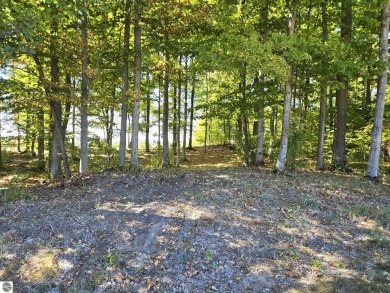 Large 1.2 Acre Lot.  Beautifully wooded - sweeping views of golf on Champion Hill Golf Club in Michigan - for sale on GolfHomes.com, golf home, golf lot