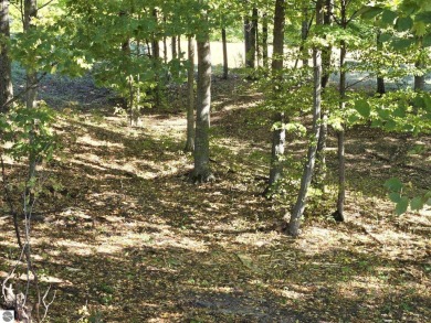 Beautifully wooded one acre lot - Located on Champion Hill Golf on Champion Hill Golf Club in Michigan - for sale on GolfHomes.com, golf home, golf lot