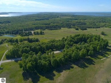 Beautifully wooded one acre lot - Located on Champion Hill Golf on Champion Hill Golf Club in Michigan - for sale on GolfHomes.com, golf home, golf lot