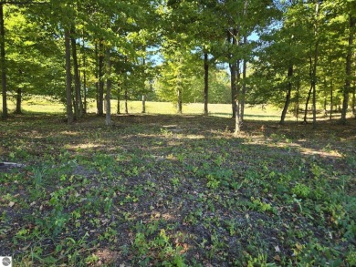 Beautifully wooded  lot - frontage on Champion Hill Golf Course on Champion Hill Golf Club in Michigan - for sale on GolfHomes.com, golf home, golf lot