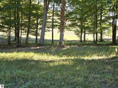 Beautifully wooded  lot - frontage on Champion Hill Golf Course on Champion Hill Golf Club in Michigan - for sale on GolfHomes.com, golf home, golf lot