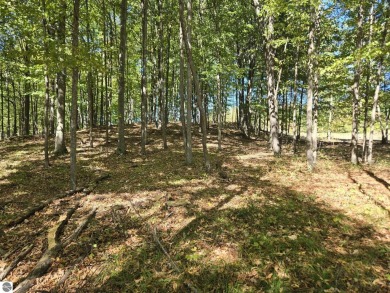 Large lot - almost 2 acres.  Meadows and Woodland.  Located on on Champion Hill Golf Club in Michigan - for sale on GolfHomes.com, golf home, golf lot