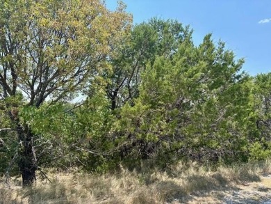 Amazing opportunity to own a stunning build site in one of the on The Cliffs Resort in Texas - for sale on GolfHomes.com, golf home, golf lot
