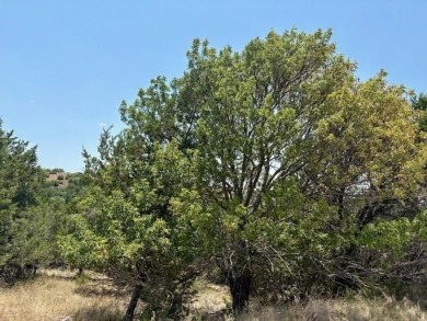 Amazing opportunity to own a stunning build site in one of the on The Cliffs Resort in Texas - for sale on GolfHomes.com, golf home, golf lot