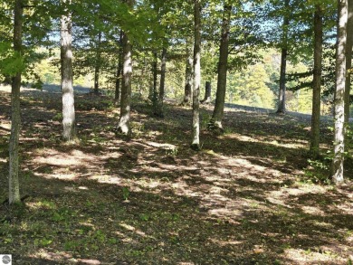 Beautifully wooded lot - on Champion Hill Golf Course (Hole # on Champion Hill Golf Club in Michigan - for sale on GolfHomes.com, golf home, golf lot