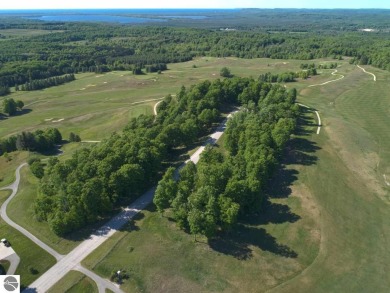 Beautifully wooded large lot frontage on Champion Hill Golf on Champion Hill Golf Club in Michigan - for sale on GolfHomes.com, golf home, golf lot