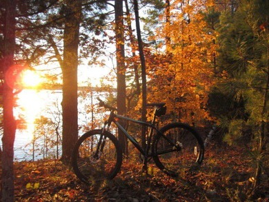 Build your dream home on this expansive wodded lot, exceeding on Monticello Golf Club At Savannah Lakes in South Carolina - for sale on GolfHomes.com, golf home, golf lot