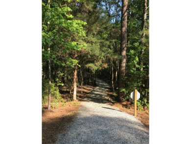 Build your dream home on this expansive wodded lot, exceeding on Monticello Golf Club At Savannah Lakes in South Carolina - for sale on GolfHomes.com, golf home, golf lot
