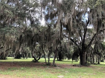 This beautiful, well maintained lot is ready for the perfect on Sapelo Hammock Golf Club in Georgia - for sale on GolfHomes.com, golf home, golf lot