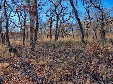 Experience the peaceful lifestyle of Nocona Hills with this on Nocona Hills Golf Course in Texas - for sale on GolfHomes.com, golf home, golf lot