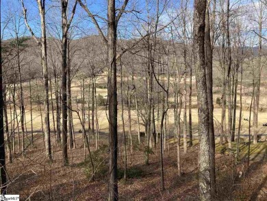 Nestled in the mountains just minutes from Greenville, SC, make on The Cliffs Valley Golf Course in South Carolina - for sale on GolfHomes.com, golf home, golf lot