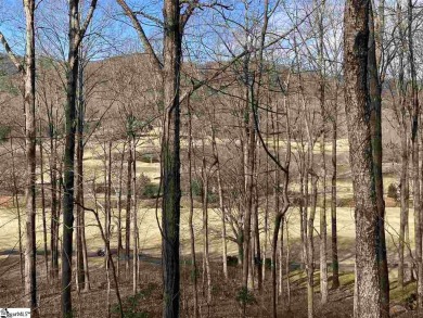 Nestled in the mountains just minutes from Greenville, SC, make on The Cliffs Valley Golf Course in South Carolina - for sale on GolfHomes.com, golf home, golf lot