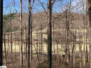 Nestled in the mountains just minutes from Greenville, SC, make on The Cliffs Valley Golf Course in South Carolina - for sale on GolfHomes.com, golf home, golf lot