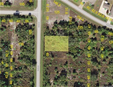 Vacant Land Package includes 4 lots in the Harbour Heights on Deep Creek Golf Club in Florida - for sale on GolfHomes.com, golf home, golf lot