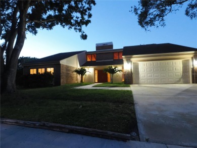 VACATION WHERE YOU LIVE... UNIQUE RARE OPPORTUNITY to own this on East Lake Woodlands Country Club in Florida - for sale on GolfHomes.com, golf home, golf lot